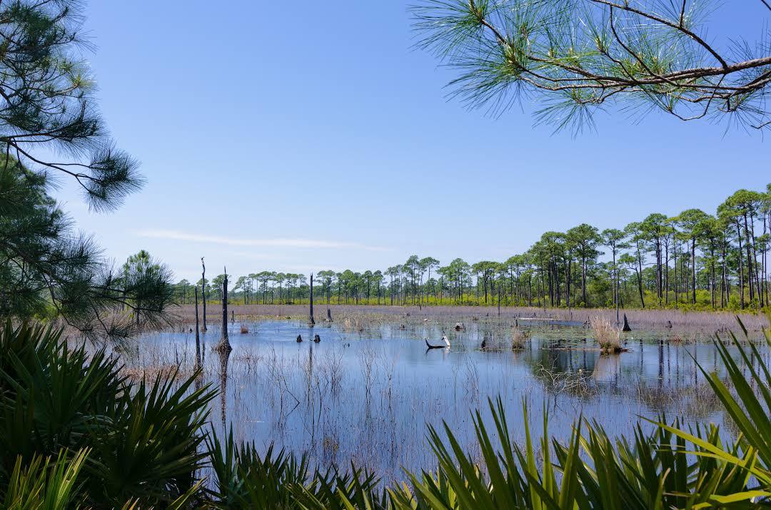 Bon Secour National Wildlife Refuge