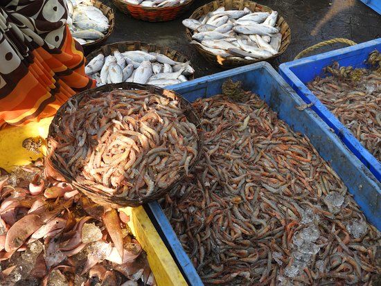 Harnai Fish Market