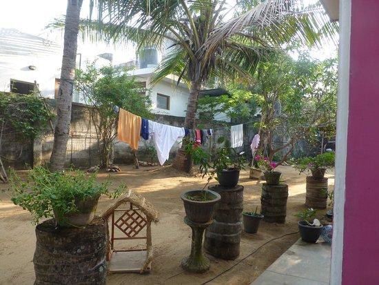 Bamboo Hut