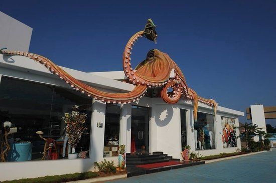 India Seashell Museum