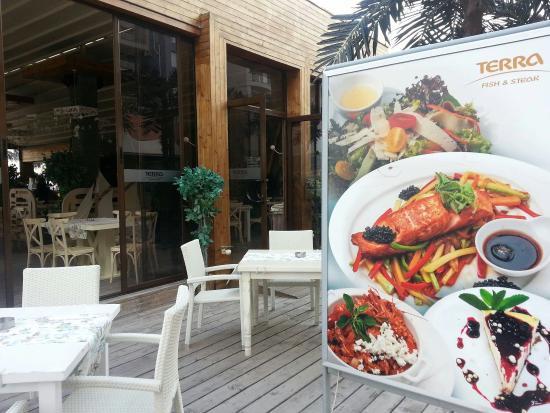 Terra Fish and Steak