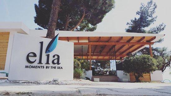 Elia
