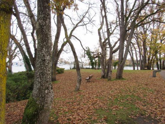 Haynes Park