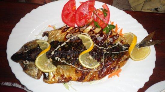 Restaurant Opexa