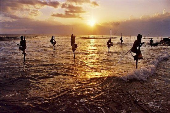 Stilt Fisherman