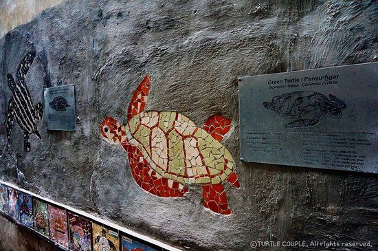 Turtle Sculpture