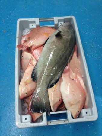 Casa Mar Seafood