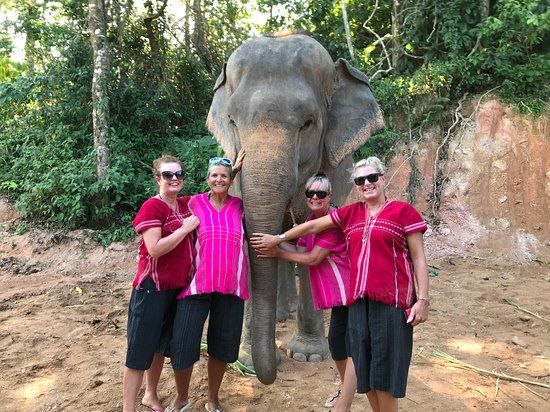 Elephant Family Phuket