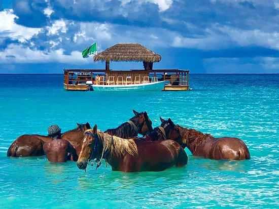 Kon Tiki Bar