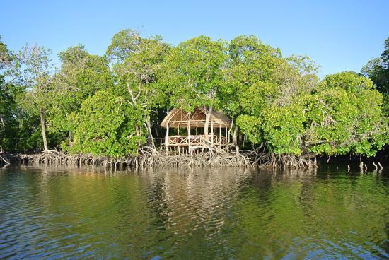 Mida Creek