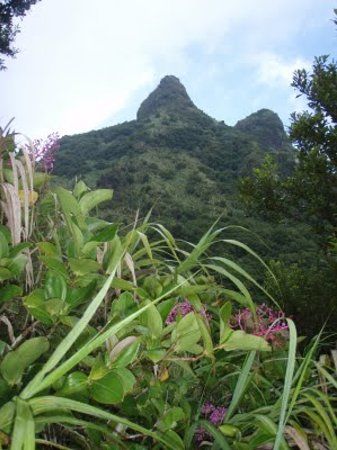 Hibok-Hibok Crater Viewpoint