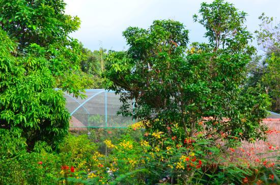 Kep Butterfly Farm