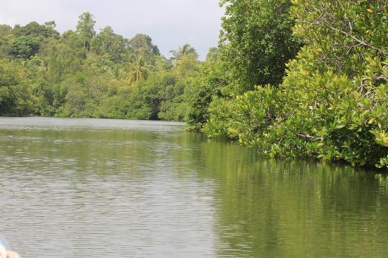Madu River