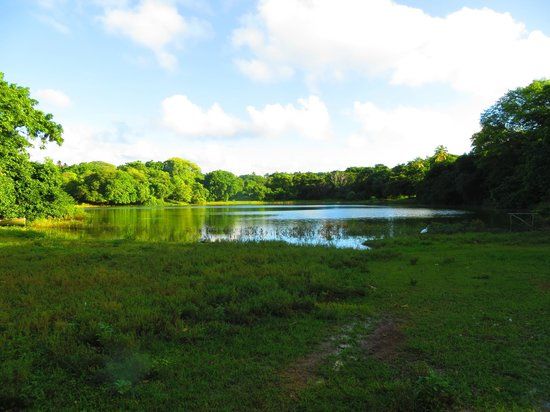 Laguna Big Pond