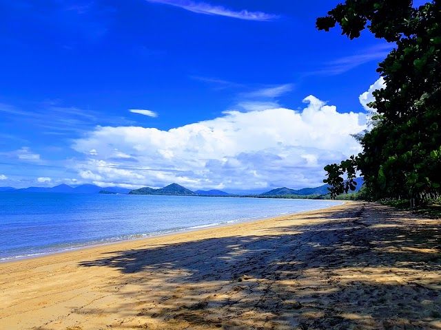 Palm Cove Beach