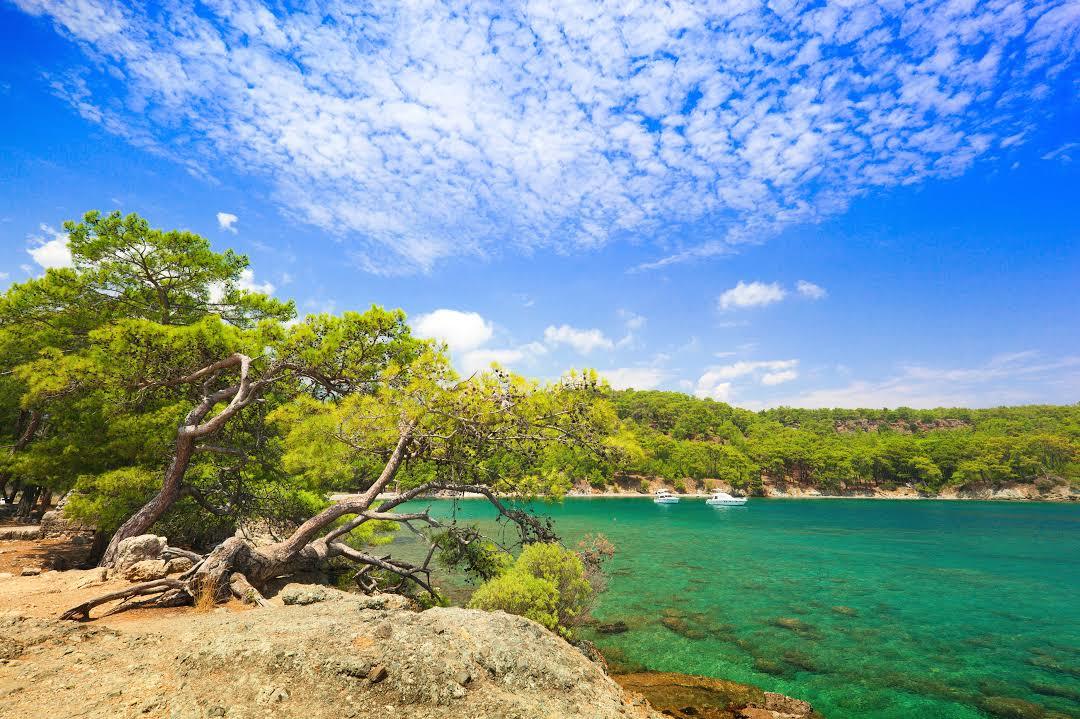 Phaselis