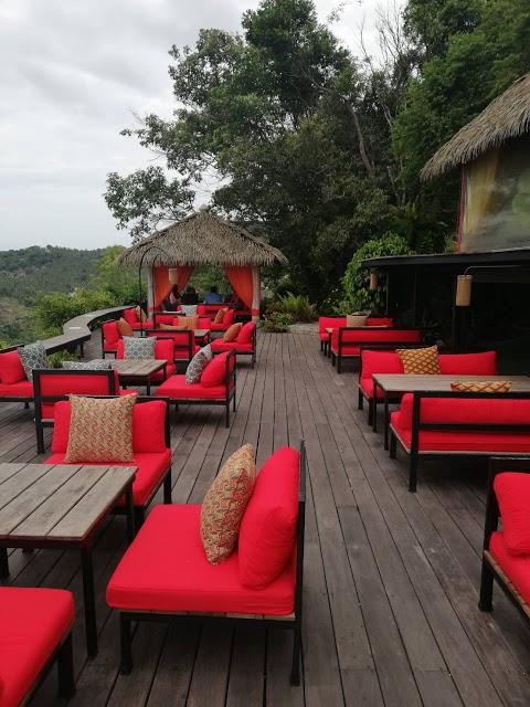 Jungle Club