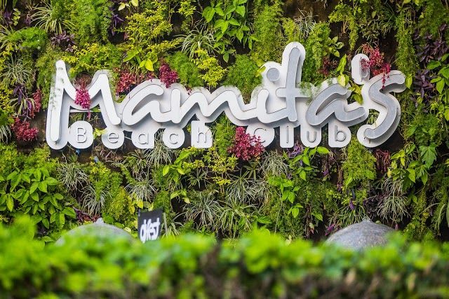 Mamitas Beach