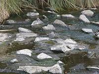 Salt Creek