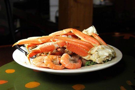 Live Bait Food & Spirits