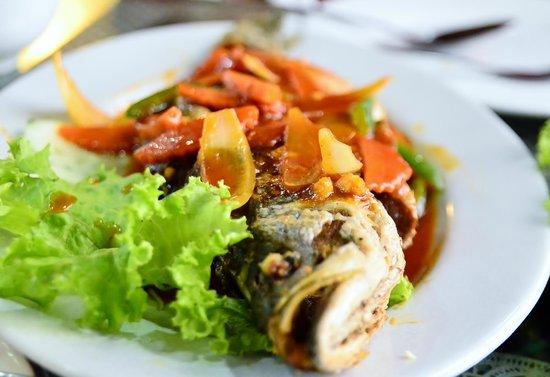 Royal Tandoor