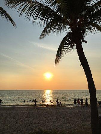Coconut Grove