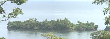 Wild Cane Key