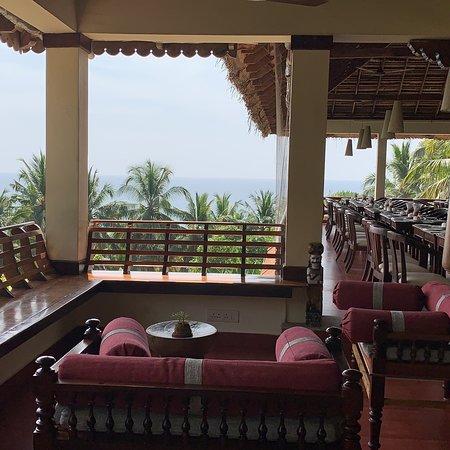 Nikki's Nest
