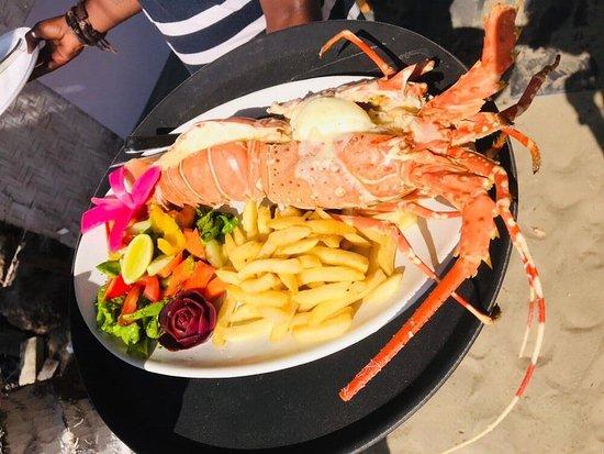Olive Ridley Cafe