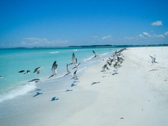 Tigertail Beach