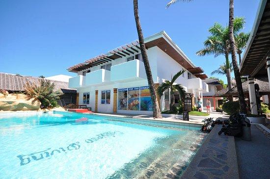 Calypso Diving School
