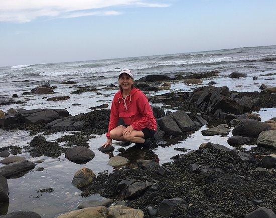 Coast Encounters