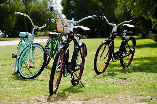 Cycle Round the Bay