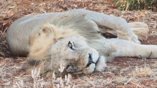 Excursions Bahati KENYA