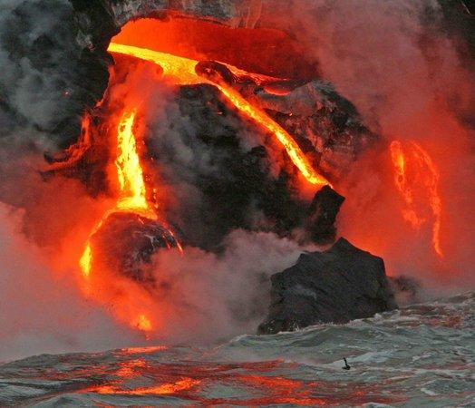 Lava Roy's Ocean Adventure Tours