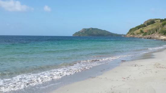 Mare