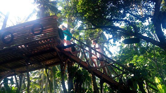 Taru Agro Tourism