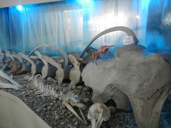 Corfu Shell Museum