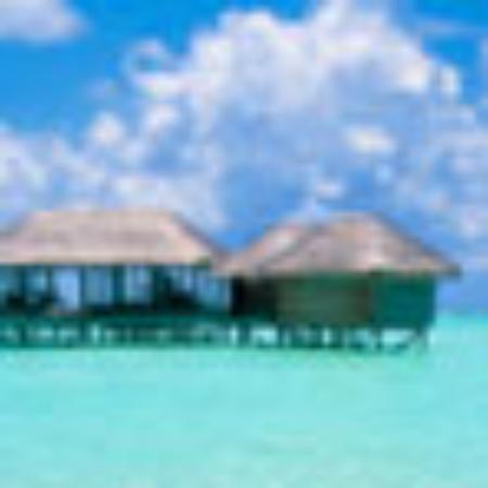 View Restaurant