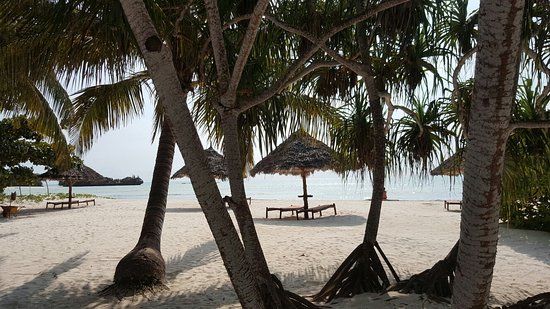 Pongwe Beach Hotel