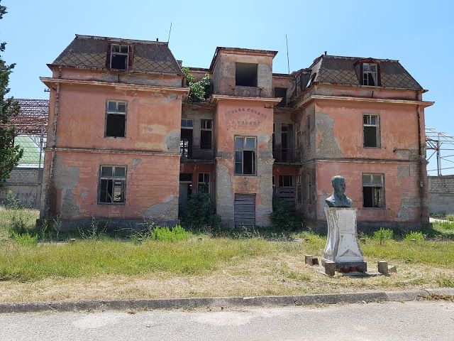 Solana Bajo Sekulic