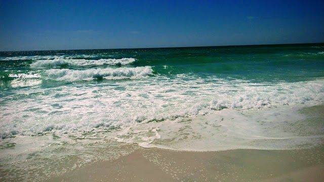 Pensacola Dog Beach