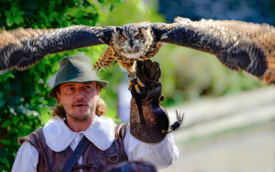Falconeria Locarno