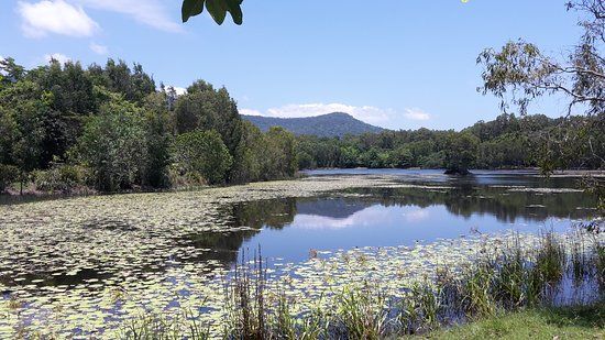 Cattana Wetlands