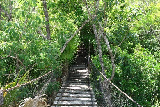 Jardín Botánico Dr. Alfredo Barrera Marín