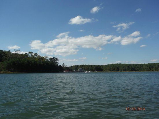 Owl Creek