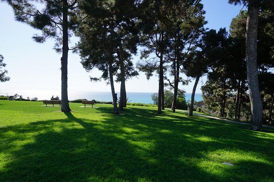 Pines Park