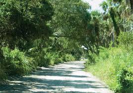 Jungle Trail