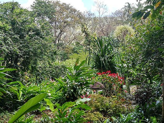 Ogrody botaniczne Soufriere Estate Diamond