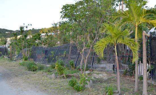 Sint Maarten Zoo